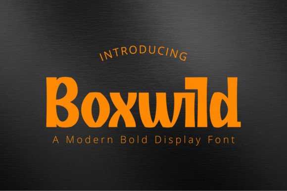 Boxwild Font for Creative Projects