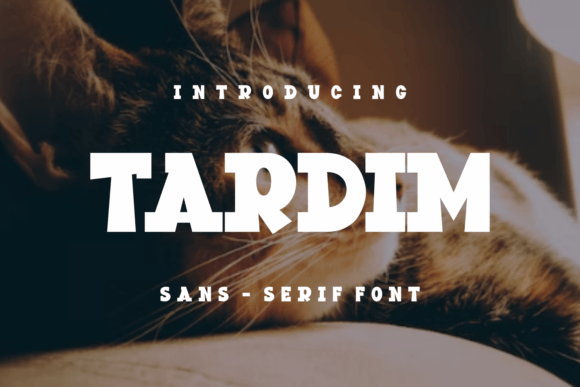 Tardim: A Bold Display Font for Creative Projects